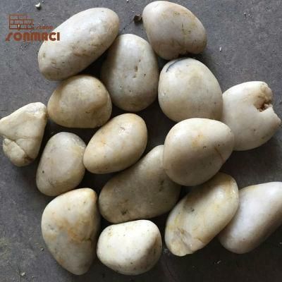 Wholesale Polished White Natural River Cobble Stone