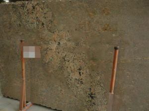 Imported Granite Four Seasons for Tiles/Countertops/Kitchentops/Hotel/Building Materials