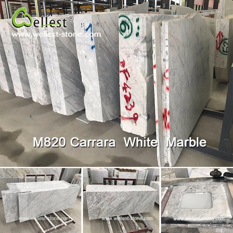 Different Beautiful Panda/Statuario/Carrara/Arabescato Corchia/Volakas White Marble for Hotel and Villa House