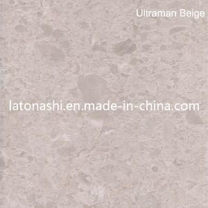 Stable Material Fossil Black Marble Slab with Good Price
