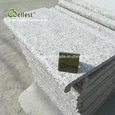 Natural Stone Flamed Finish Grey Granite Bullnose Pool Coping Tiles