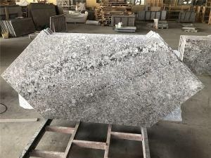 High Quality Natural Stone Bianco Antico Granite Table Top for Sale