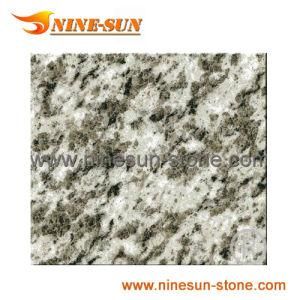 Polished Tiger Skin White Granite (YX-G191)