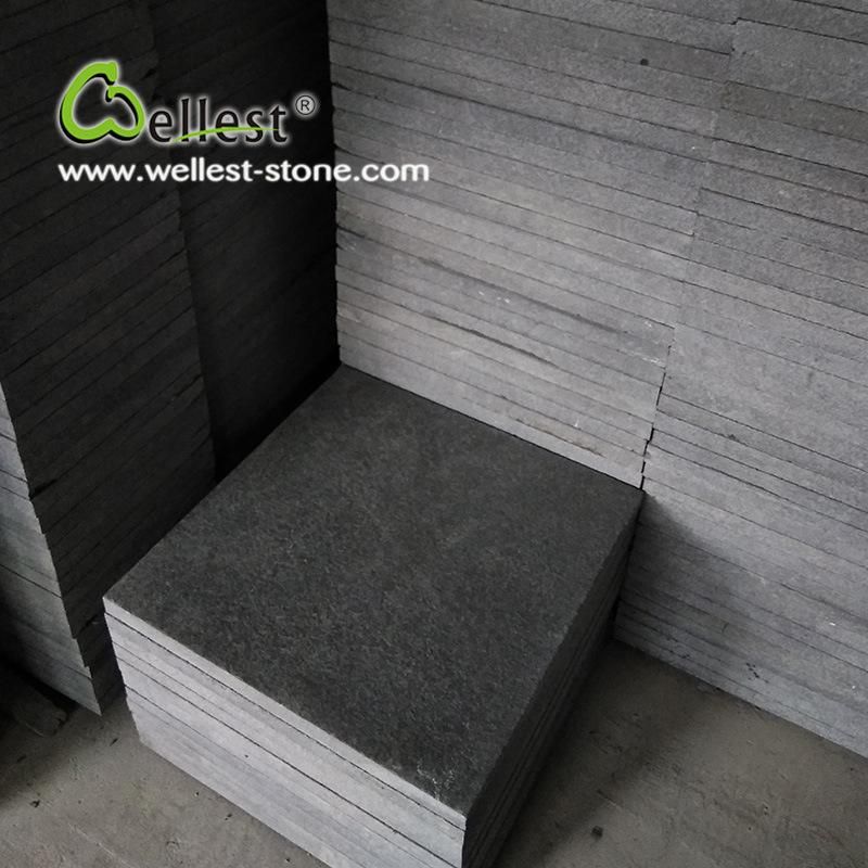 Black Granite Tile Tile for Wall and Flooring Flamed Finish Paving Stone Tile