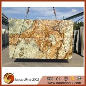 Supply Granite Slab for Wall Cladding