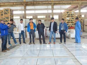 Volakas Marble Flooring Tiles Price