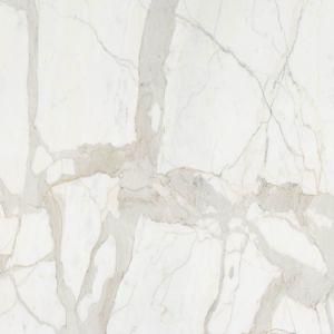 Natural Polished Marble Calacatte Slab for Bathroom/Wall/ Countertop/Floor/TV Background (Calacatte)