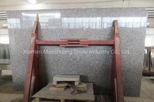 High Quality Cheap G664 Red Polished Granite Slabs for Flooring Tile
