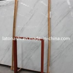 Polished Natural Ariston White Marble Stone Floor for Interior Decoration