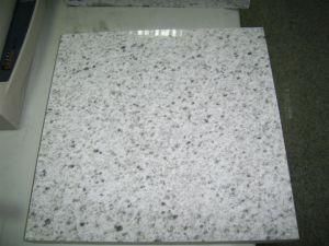 Imported Granite Bethel White for Tiles/Countertops/Kitchentops/Hotel/Building Materials