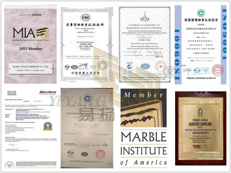 Natural Stone Tile/Slabs Kitchen Granite Flooring/Backgound/Countertop/Worktops/Vanity Top Granite Supplier Factory