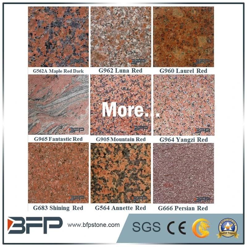 Hot Sale Cheap Granite G602 Grey Granite Pavers for Driveways