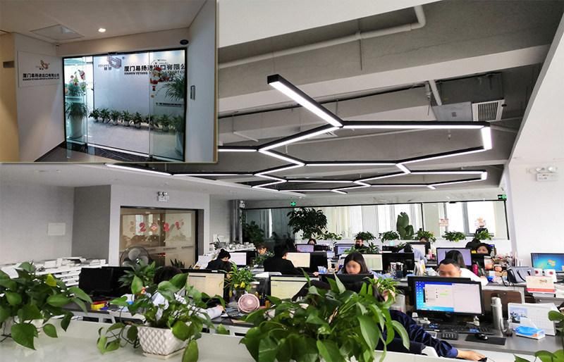 China White Jade Marble for Building/Wall/Flooring/Hotel Home/Countertop Decoration Accessories
