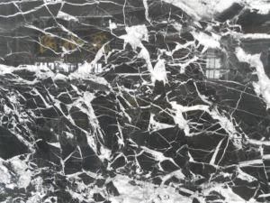 Black White Flower Marble Slab for Countertops and Building Materials