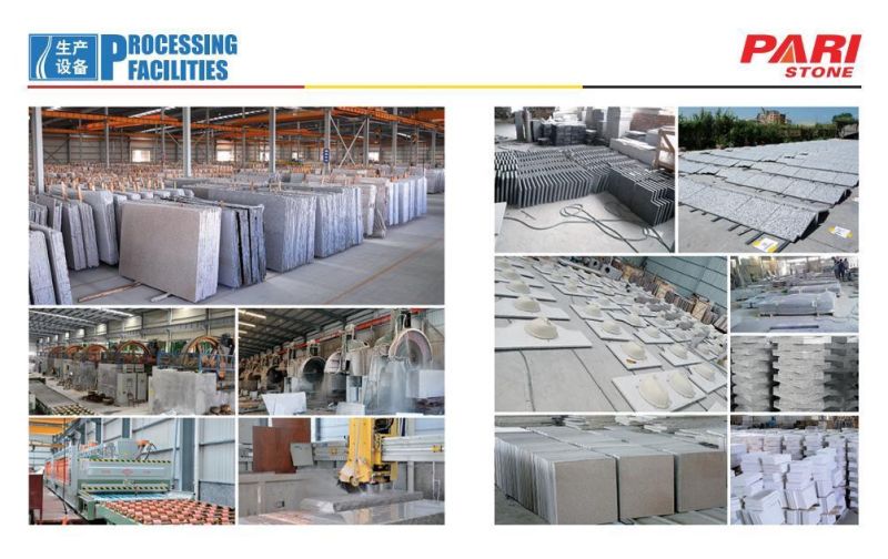 Greece White Arble Slabs Decoration Interior/Design Flooring/Walling/Countertop/Stairs Tiles/Economic Marble