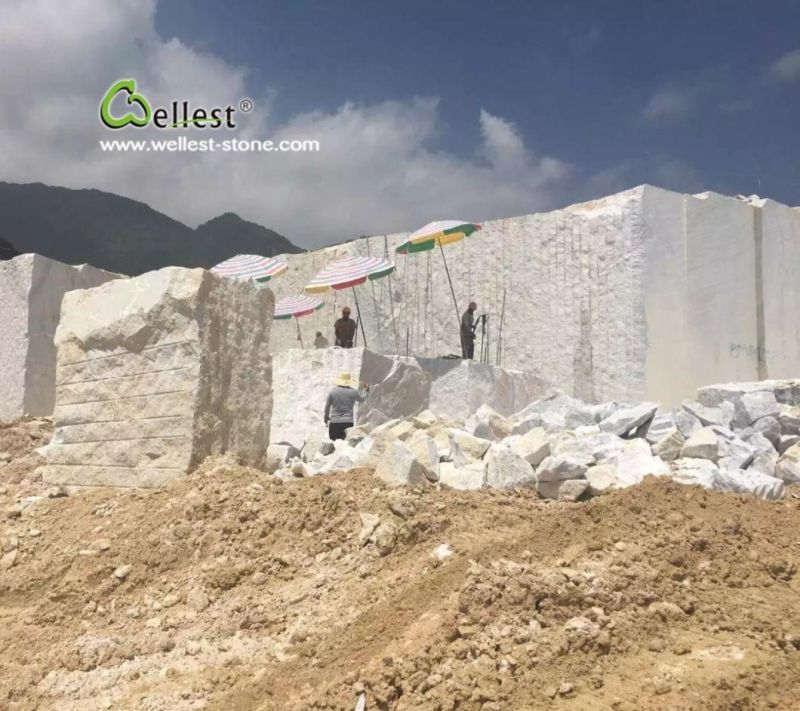 Quarry Owner M500 Gx White Marble Tile for Wall and Floor Covering and Cladding