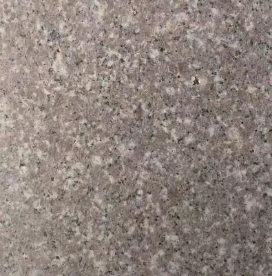 Classic Indian Black Granite and Gold Star Tiles, Black Galaxy Indian Granite Tiles