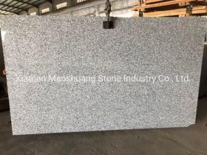 Luna Pearl Polished Cheap Granite Big Slabs