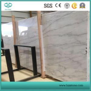 New Statuary White Marble/White Pearl Marble