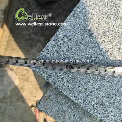Flamed and Brushed Dark Grey Granite Exterior Floor Paving Stone