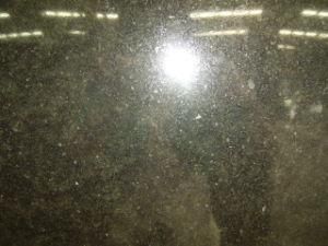 Imported Granite Forest Black for Tiles/Countertops/Kitchentops/Hotel/Building Materials