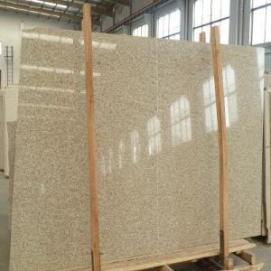 Yellow Granite Slab (G3750) Shandong Rusty Granite Slab