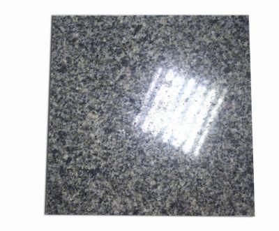 New Product Slab Price 12X12 Norway Blue Pearl Granite