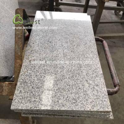 Polished Salt and Pepper Granite Tile