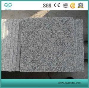 Chinese Cheap White Grey Black Granite Polished/Flamed G603 for Slabs/Countertop/Worktop/Vanitytop/Tiles/Pavers/Floor/Stairs