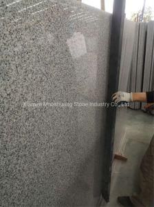 High Quality Polished Grey G603 Stone Slab for Wall/Floor