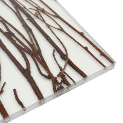 Wholesale PETG Sheet Transtones Acrylic Sheet Manufactured