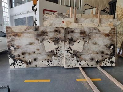 Pandora Polished Bookmatch Marble for Interior Kitchen Countertop Backgroundwall Floor Tiles