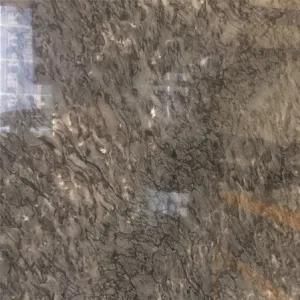 High Quality Versace Green Marble Slabs/Tiles for Projects