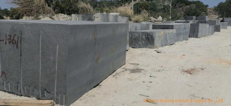 Natural Black Granite Slabs/Tiles/Blocks/Stone Wholesale
