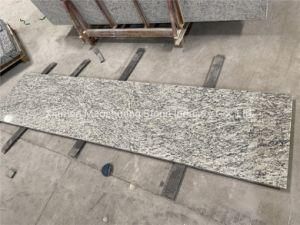 Santa Cecilia Light Granite for Kitchen Decoration