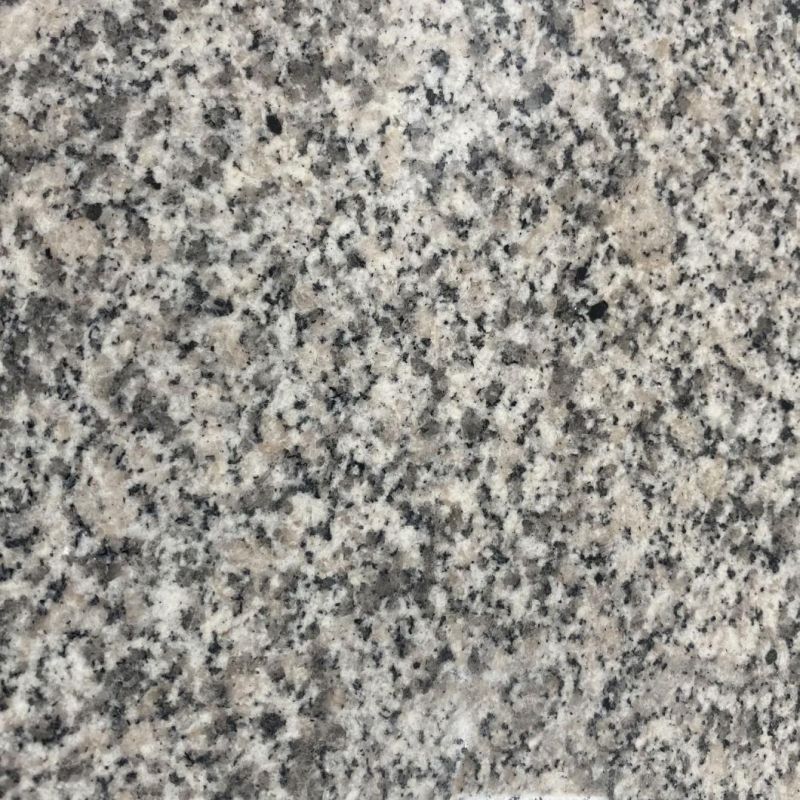 Rich Texture and Grey Granite with Discount Use for Outdoor Decoration or Architectural Appearance