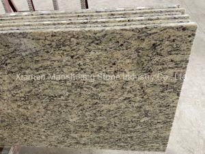 Light Santa Cecilia Granite for Counter Tops