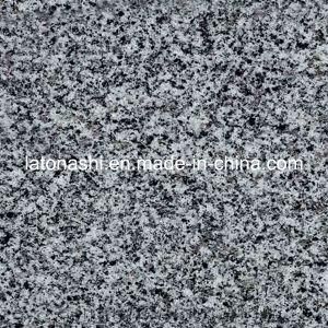 Natural Polished G614 Granite Tile for Floor, Paving, Decorative