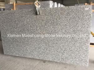 Swan Grey/Goose Grey/Swan Cloud Chinese Grey Granite Slabs
