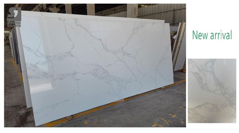 New Arrival Calacatta White Best Choice for Kitchen Counter Top and Bathroom Vanity