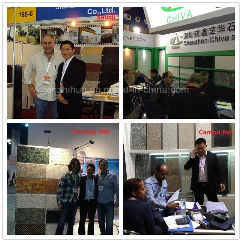 Santa/Cecilia Brazil Granite/Stone Kitchen/Island/Table Splash Work/Vanity Countertops Bathroom/Bushboard Wall/Tiles Top