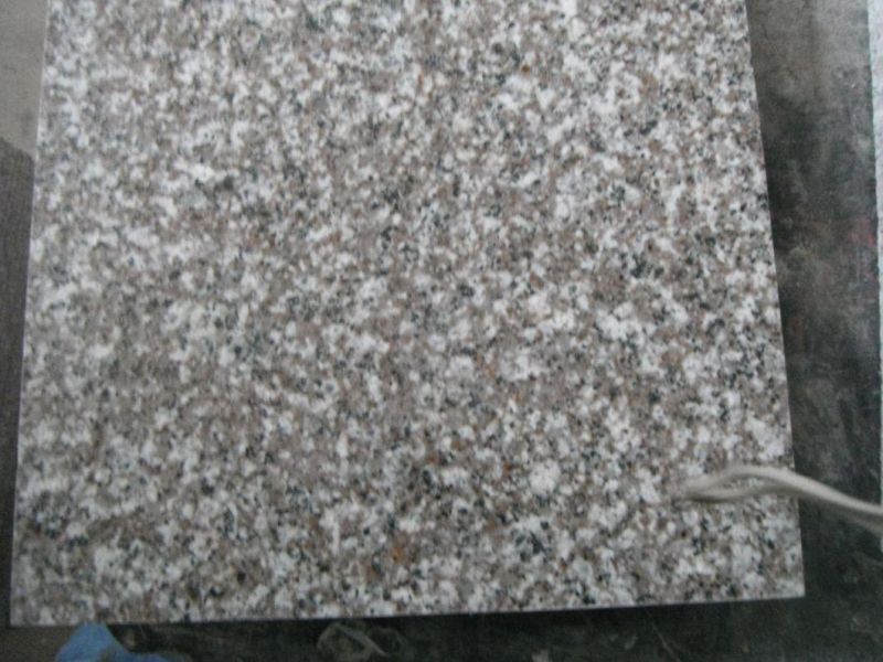 Cut to Size G664 Granite Tile Misty Brown Natural Stone Tile for Indoor Outdoor Floor