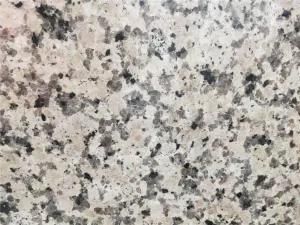 Polished Rosa Porrino Granite for Kitchen Tops / Bathroom Tops