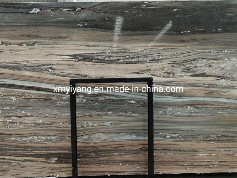 China Natural Stone Dark Palissandro Blue Marble for Slab/Tiles/Flooring/Background/Wall/Floor/Tile