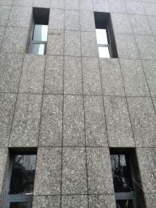China Butterfly Green Granite for Building