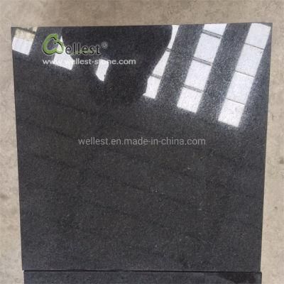 2019 Strong Competitive Price Polished China Absolute Black Granite Tile for Flooring and Wall Cladding
