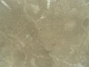 Bosi Gray Marble for Building Materials and Countertops