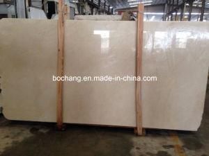 Royal Sago Natural Marble Slab for Wall Tile