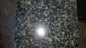 Forest Green Granite for Tiles and So on