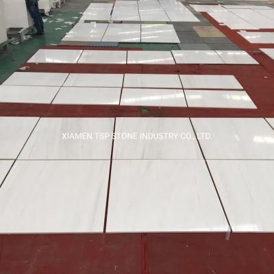 Bianco Dolomite White Floor Marble Tiles